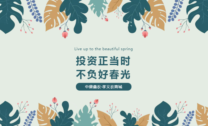 孝義唯一大產權的農批商鋪，投資有保障！